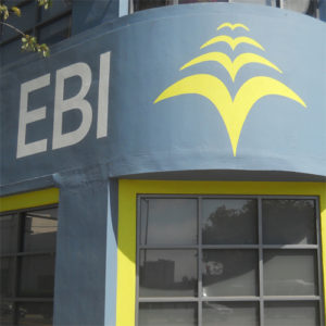 ebi crop